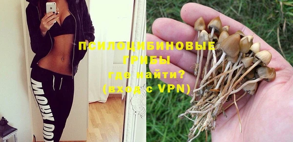 a pvp Вязьма