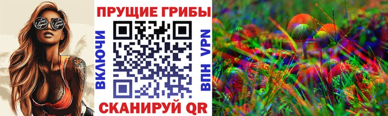 Купить где  Стрежевой  Псилоцибиновые грибы прущие грибы 
